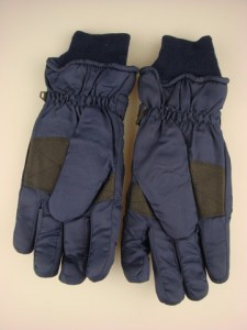 heren-ski-handschoen-hh038-blauw-1-beterpet-nl