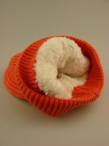muts-teddy-voering-muts053-2-oranje-beterpet-nl